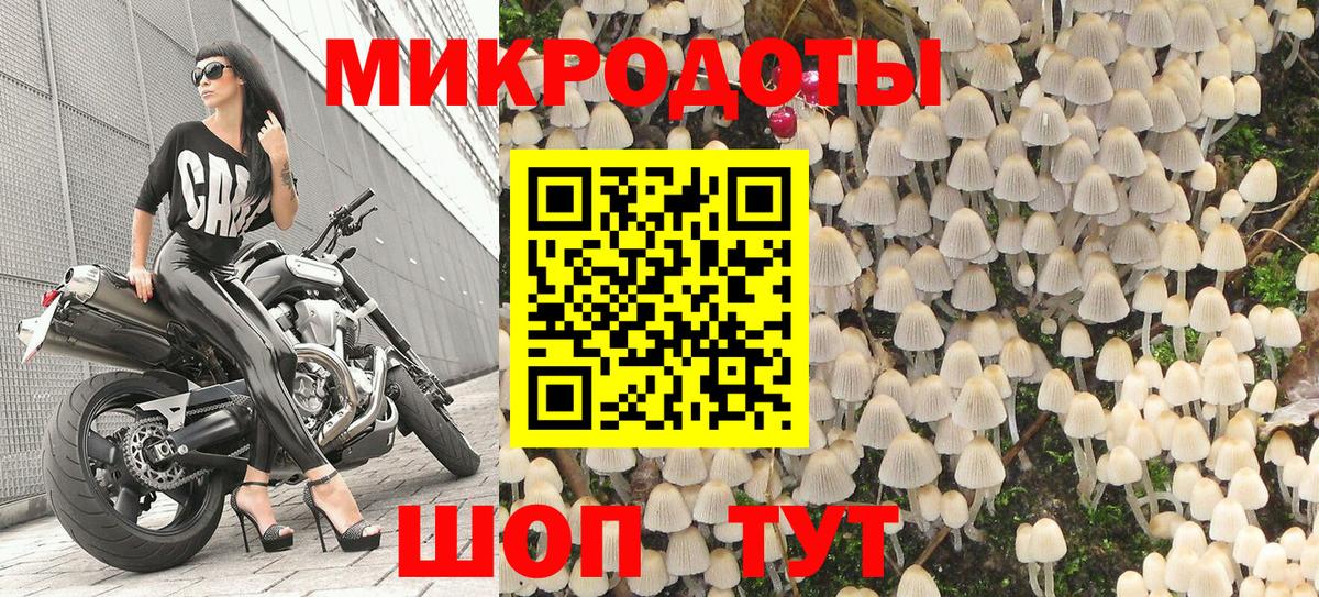 Находка  Галлюциногенные грибы мухоморы  Вход с VPN 
